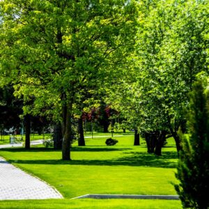 Парк в санатории 'Русь' в г. Ессентуки - фотография