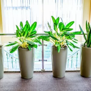 Лестничная площадка в санатории 'Русь' в г. Ессентуки - фотография