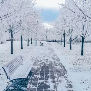Территория зимой в санатории 'Русь' в г. Ессентуки - фотография