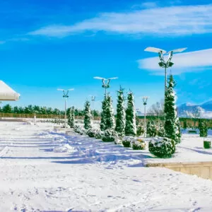 Территория в санатории 'Русь' в г. Ессентуки - фотография